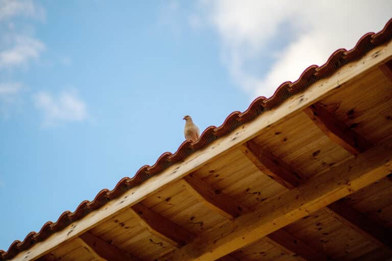 FAQ Couvreur à Saint-Omer